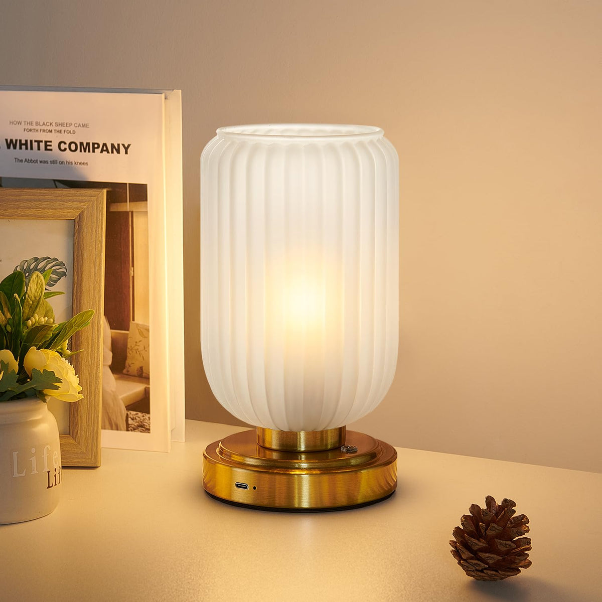 LightRound Cordless Table Lamp for Bedroom, Touch Stepless Dimmable, Modern